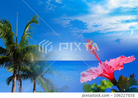 synthetic summer tropical synthetic summer tropical 106227838