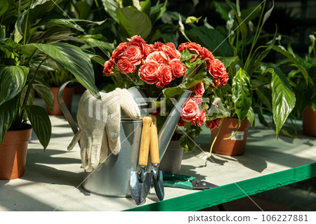 Tools for plant care, for watering, trimming, fluffing. On the waist cover. 106227881