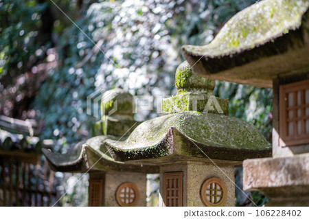 香川縣金刀比羅神社長滿青苔的燈籠 106228402