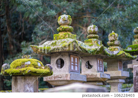 香川縣金刀比羅神社長滿青苔的燈籠 香川縣金刀比羅神社長滿青苔的燈籠 106228403