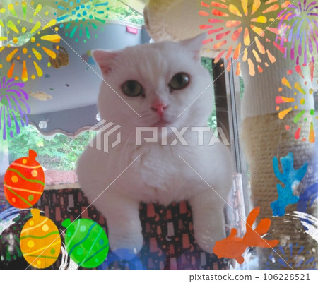 ☆♬內之子的日常生活☆♬2023.夏天☆ ☆♬內之子的日常生活☆♬2023.夏天☆ 106228521