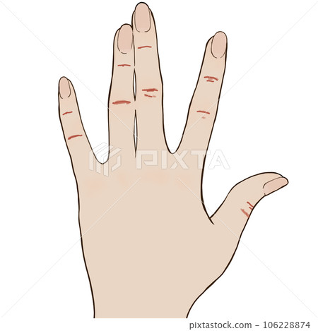 赤城的插圖 106228874