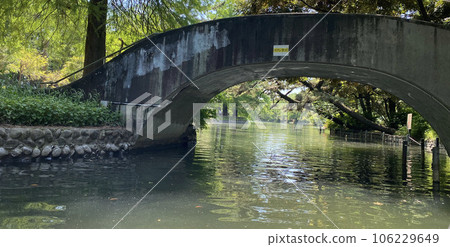 Shakujii Park 106229649