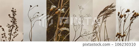 Set, collection of autumn screensavers in beige color, minimal aesthetic Set, collection of autumn screensavers in beige color, minimal aesthetic 106230310