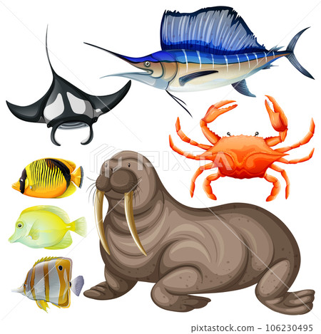 Underwater Creature Vector Set 106230495