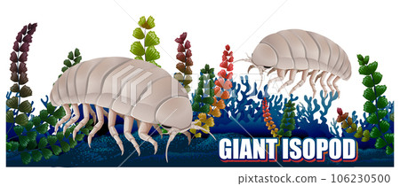 Giant Isopod Deep Sea Creature 106230500