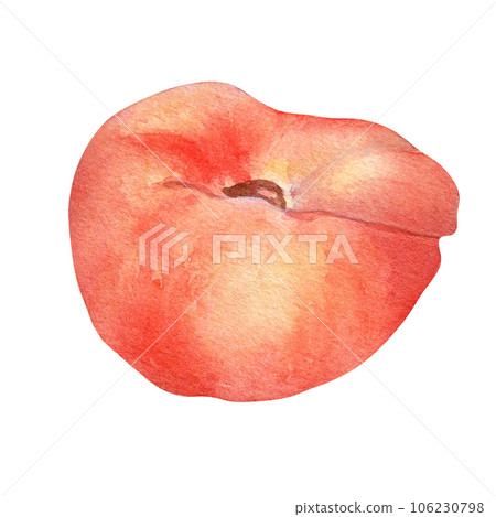 Chinese flat fig peach pink watercolor illustration isolated on white. Watercolor painted pink fruits drawing. Food illustration hand drawn, design element for package, label Chinese flat fig peach pink watercolor illustration isolated on white. Watercolor painted pink fruits drawing. Food illustration hand drawn, design element for package, label 106230798