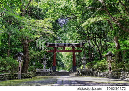 東京都杉並區大宮八幡宮、正殿、第二鳥居,由源賴朝建造 東京都杉並區大宮八幡宮、正殿、第二鳥居,由源賴朝建造 106230872