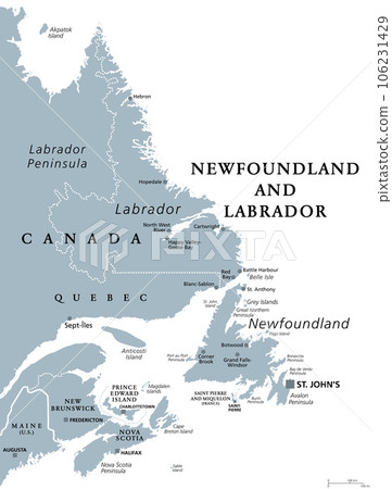 Newfoundland and Labrador, gray political map. Province of Canada, in the Atlantic region. With capital St. Johns, Newfoundland island and continental region of Labrador between Quebec and Atlantic. Newfoundland and Labrador, gray political map. Province of Canada, in the Atlantic region. With capital St. Johns, Newfoundland island and continental region of Labrador between Quebec and Atlantic. 106231429