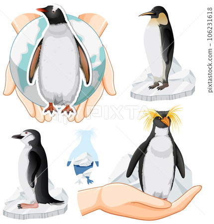 Cute Penguin Icons Set Cute Penguin Icons Set 106231618