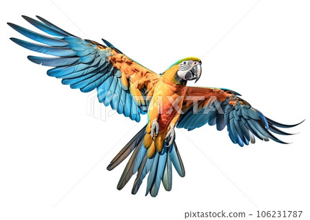 macaw parrot spreading wings 106231787