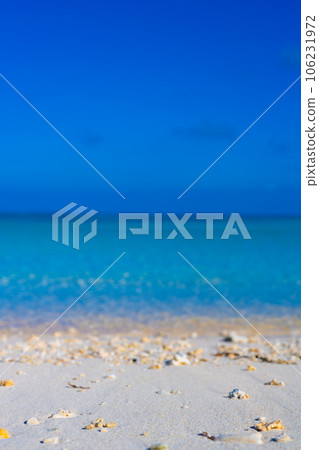 beautiful southern sea 106231972