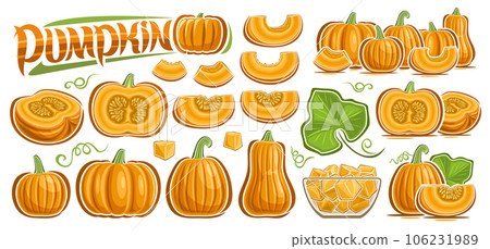 Vector Pumpkin Set 106231989