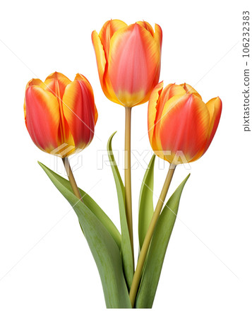 AI Genarative bouquet Tulip flower pastel watercolor style AI Genarative bouquet Tulip flower pastel watercolor style 106232383