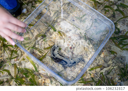 Strolling through the tidal flats Box glasses Strolling through the tidal flats Box glasses 106232817