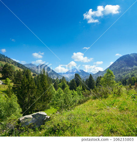 Mountain landscape with green grass and flowers. Andorra, Mountain landscape with green grass and flowers. Andorra, 106233803