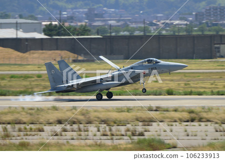 JASDF 303rd Squadron F-15 Eagle Landing 106233913