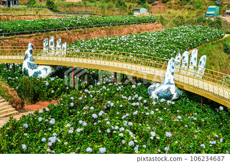 Golden Bridge with hands in hydrangea flowers field in the city of Da Lat in Vietnam 106234687