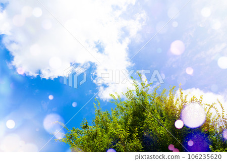 林木 林木 106235620