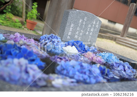鶴岡市_莊內神社水池裡的繡球花 106236216