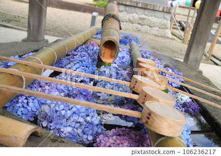 鶴岡市_莊內神社水池裡的繡球花 106236217