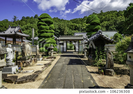 廣島縣福山市備後國分寺參道 106236308
