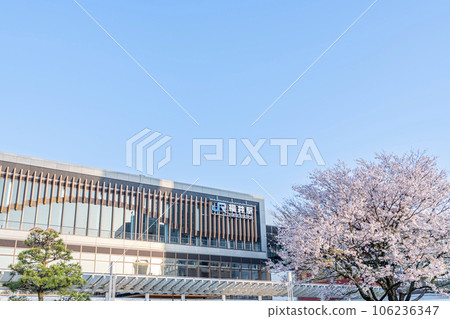 福井縣福井市 JR 福井站東口和晴天的櫻花 福井縣福井市 JR 福井站東口和晴天的櫻花 106236347
