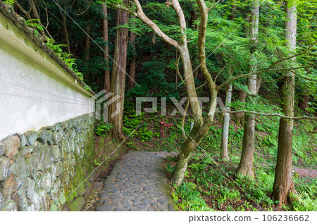 五月的奈良，山邊之道，元彬庵的白牆和石板路 106236662