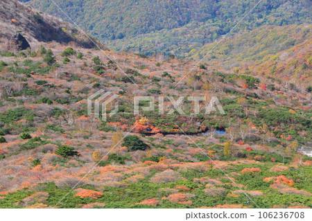 秋天那須烏巴平山 秋天那須烏巴平山 106236708