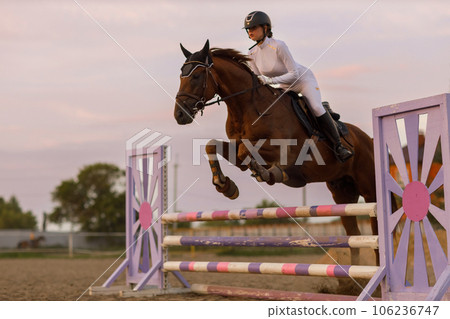 Dressage horse and rider in uniform during equestrian jumping competition Dressage horse and rider in uniform during equestrian jumping competition 106236747