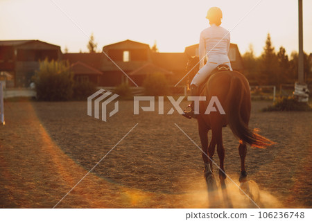 Woman rider jockey in helmet and white uniform preparing horse racing at sunset ranch Woman rider jockey in helmet and white uniform preparing horse racing at sunset ranch 106236748