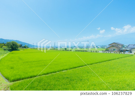夏天的安曇野[北安曇郡池田町] 106237829