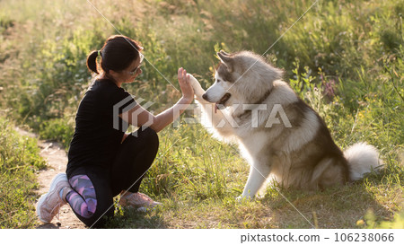 Beautiful girl wearing sport style with husky dog outdoors. Cute furry doggy high five with his paw to owner. Friendship between pet and human 106238066