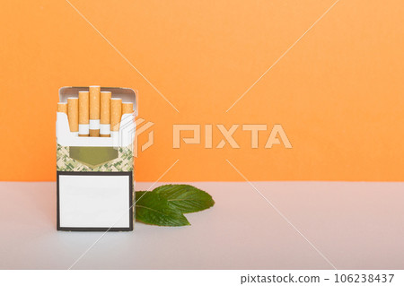 Pack of menthol cigarettes and fresh mint on colored table, Menthol cigarettes top view flat lay 106238437
