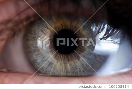 Female green-gray eye for medical examination closeup 106238514