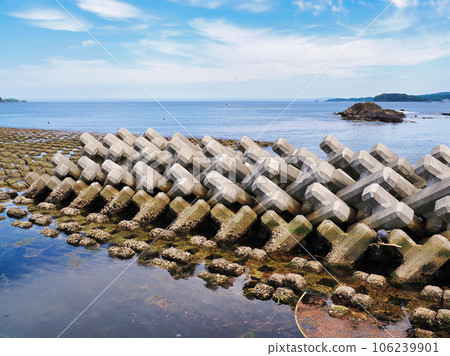 藍天、大海和藤壺的混凝土消波塊(四足體) 藍天、大海和藤壺的混凝土消波塊(四足體) 106239901