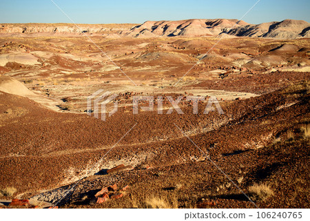 Rugged and Desolate Landscape Petrified Forest Arizona 106240765