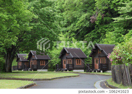 Image of outdoor BBQ camping 106241023