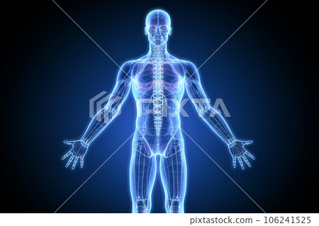 X-ray, CT, and MRI images of the human body X-ray, CT, and MRI images of the human body 106241525