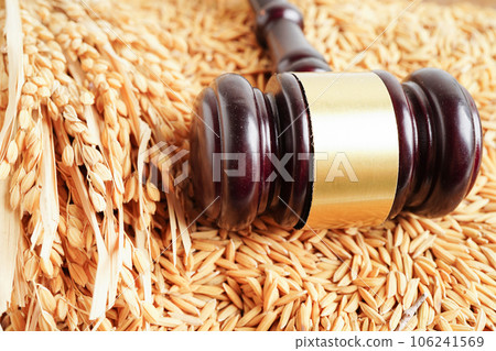 Judge gavel hammer with good grain rice from agriculture farm. Law and justice court concept. 106241569