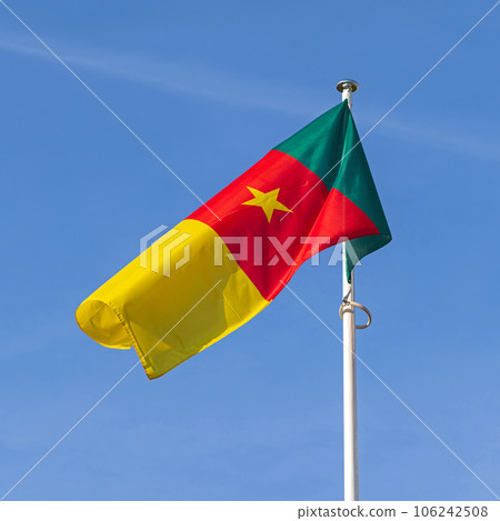 Flag of Cameroon 106242508