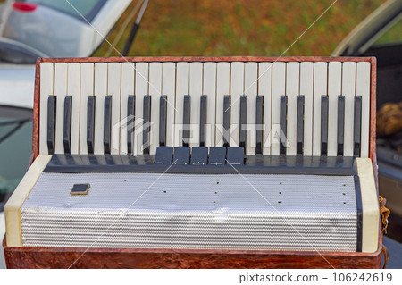 Keyboard Accordion Harmonica Keyboard Accordion Harmonica 106242619
