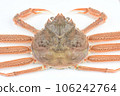 生雪蟹 106242764