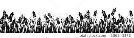 Wheat field. Spikelets of golden wheat 106243378