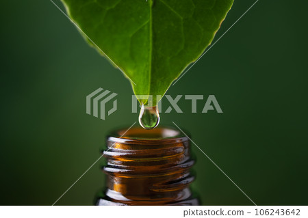 Alternative herbal medicine concept. Herbal essence dropping from fresh leaf to the bottle. Organic herbal skin care serum. Alternative herbal medicine concept. Herbal essence dropping from fresh leaf to the bottle. Organic herbal skin care serum. 106243642