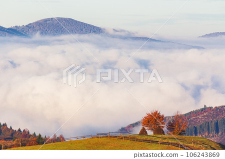 carpathian rural landscape in autumn. foggy weather in the distant valley at sunrise. fields on the hills. trees in fall foliage 106243869