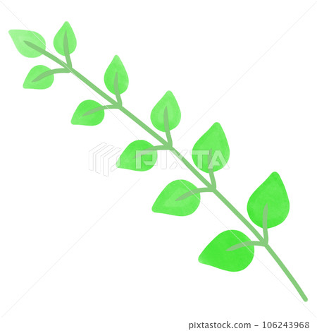leaf,crover,ginko leaf,crover,ginko 106243968