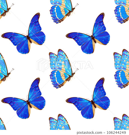 Seamless pattern with blue butterfly. Tropical insect. Neon colors. Seamless pattern with blue butterfly. Tropical insect. Neon colors. 106244249