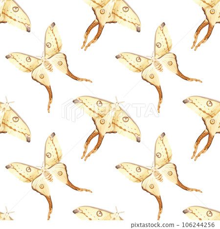 Luna moth. Tropical seamless pattern with white butterfly. Stock vector illustration on a white background. Luna moth. Tropical seamless pattern with white butterfly. Stock vector illustration on a white background. 106244256