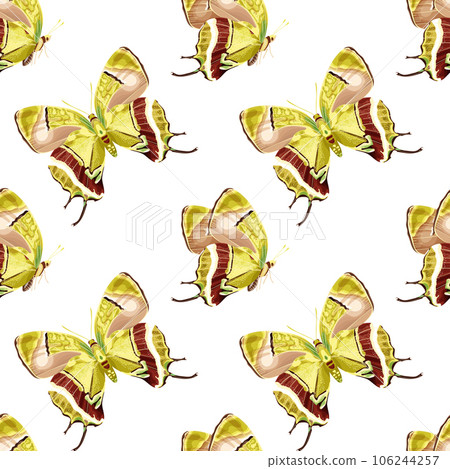 Seamless pattern with yellow and green butterfly. Tropical insects. Seamless pattern with yellow and green butterfly. Tropical insects. 106244257
